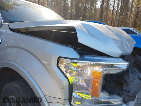 2019 Ford F-150 XL with VIN 1FTEW1CP5KFA84724, listed as a IAAI auction lot 41481894 with 135,051 mi miles and . Bid and sale history available at carsss.com. Image 20.