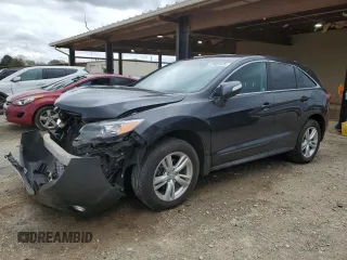 2014 Acura RDX Technology with VIN 5J8TB4H58EL007686, listed as a Copart auction lot 49605425 with 170,945 mi miles and Salvage Title. Bid and sale history available at DreamBid. Image 1.