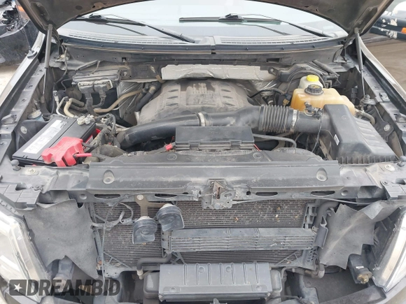 2013 Ford F-150 XL with VIN 1FTFW1ET7DFE02960, listed as a IAAI auction lot 41577436 with 161,577 mi miles. Bid and sale history available at carsss.com. Image 10.