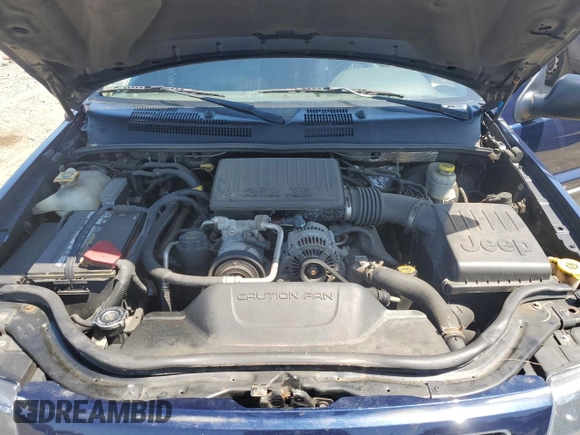 2004 Jeep Grand Cherokee Laredo with VIN 1J4GW48N34C425845, listed as a Copart auction lot 61200555 with 133,664 mi miles and Clean title. Bid and sale history available at DreamBid. Image 12.