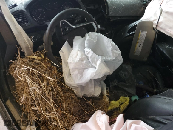 2016 Buick Regal Premium II with VIN 2G4GS5GX3G9114983, listed as a Copart auction lot 49243265 with Not Provided miles and Salvage Title. Bid and sale history available at DreamBid. Image 8.