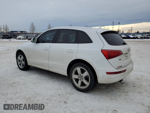 2011 Audi Q5 Premium Plus with VIN WA1LFAFP6BA052147, listed as a Copart auction lot 84075824 with 168,494 mi miles and Clean Title. Bid and sale history available at DreamBid. Image 2.