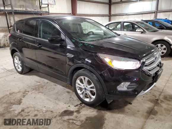 2017 Ford Escape SE with VIN 1FMCU0GD1HUD91766, listed as a Copart auction lot 45478855 with 123,818 mi miles and Salvage Title. Bid and sale history available at carsss.com. Image 4.