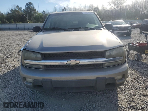2003 Chevrolet TrailBlazer LS with VIN 1GNDS13SX32140300, listed as a Copart auction lot 48967135 with 284,988 mi miles and Salvage Title. Bid and sale history available at carsss.com. Image 5.