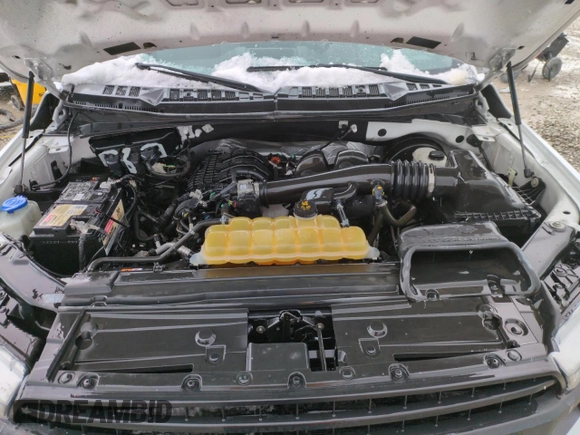 2019 Ford F-150 XL with VIN 1FTMF1CB6KKD26749, listed as a Copart auction lot 49695535 with 115,003 mi miles and Salvage title. Bid and sale history available at DreamBid. Image 11.