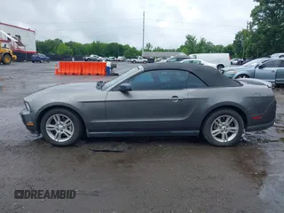 2011 Ford Mustang V6 with VIN 1ZVBP8EM2B5142545, listed as a IAAI auction lot 42667556 with 138,177 mi miles and . Bid and sale history available at DreamBid. Image 14.