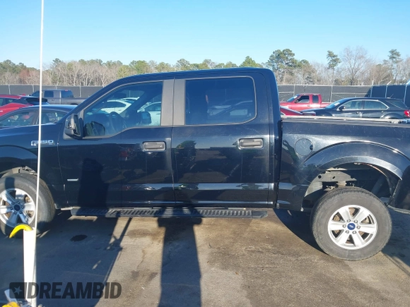 2017 Ford F-150 XL with VIN 1FTEW1CP1HFB17419, listed as a IAAI auction lot 41570543 with 237,373 mi miles. Bid and sale history available at carsss.com. Image 14.