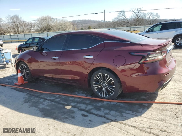 2020 Nissan Maxima SL with VIN 1N4AA6DV8LC361169, listed as a Copart auction lot 48755855 with 43,456 mi miles and Salvage Title. Bid and sale history available at carsss.com. Image 2.