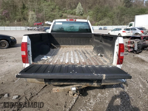 2009 Chevrolet Silverado 1500 Work Truck with VIN 1GCEC14X19Z225725, listed as a Copart auction lot 51499965 with Not Provided miles and Salvage Title. Bid and sale history available at DreamBid. Image 10.