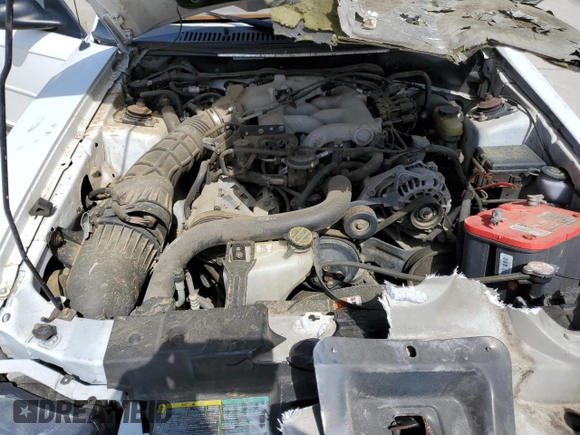 2003 Ford Mustang Standard with VIN 1FAFP40493F427703, listed as a Copart auction lot 49207945 with 0 mi miles and Salvage Title. Bid and sale history available at carsss.com. Image 13.