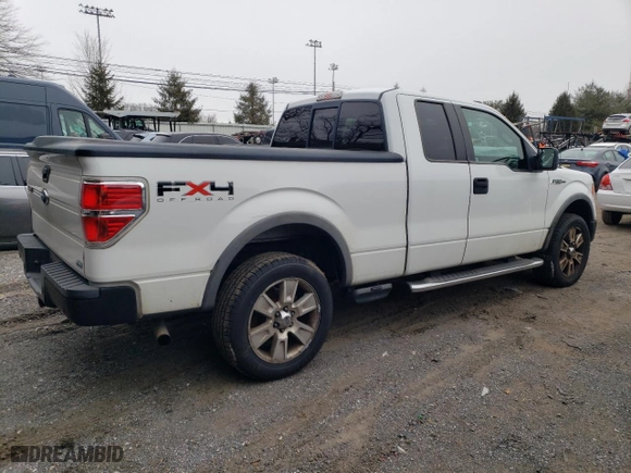 2010 Ford F-150 XL with VIN 1FTFX1EVXAFB93160, listed as a Copart auction lot 45583205 with 259,971 mi miles and Clean Title. Bid and sale history available at carsss.com. Image 3.