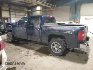 2010 Chevrolet Silverado 1500 LT with VIN 3GCRKSE3XAG266154, listed as a Copart auction lot 46147335 with 117,554 mi miles and Salvage Title. Bid and sale history available at DreamBid. Image 2.