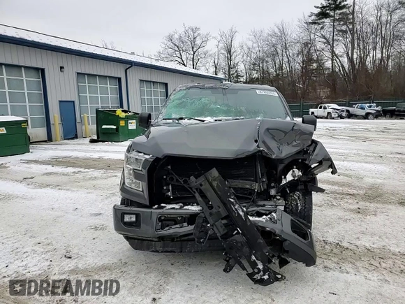 2016 Ford F-150 XLT with VIN 1FTFX1EF5GFD29647, listed as a Copart auction lot 87866955 with 0 mi miles and Salvage Title. Bid and sale history available at carsss.com. Image 11.