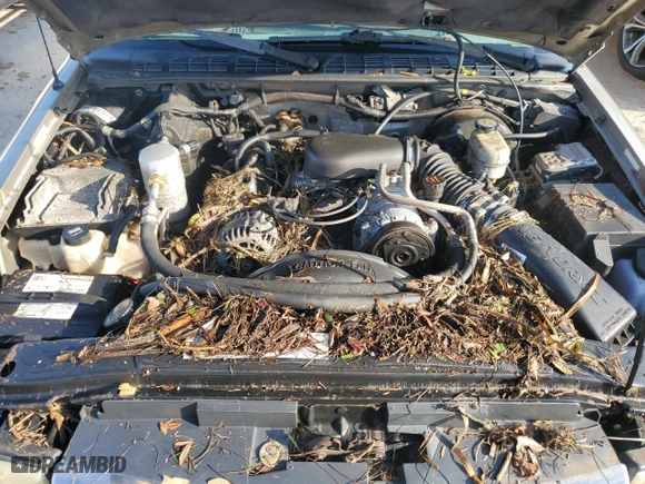2003 GMC Sonoma SLS with VIN 1GTCS19X438152267, listed as a Copart auction lot 73819614 with NaN miles and Salvage Title. Bid and sale history available at carsss.com. Image 11.