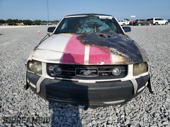 2008 Ford Mustang Deluxe with VIN 1ZVHT84N085133559, listed as a Copart auction lot 57449265 with Not provided miles and Salvage title. Bid and sale history available at DreamBid. Image 5.