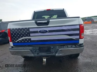 2015 Ford F-150 XLT with VIN 1FTEW1EF3FKD06291, listed as a IAAI auction lot 42158798 with Not provided miles and . Bid and sale history available at DreamBid. Image 16.