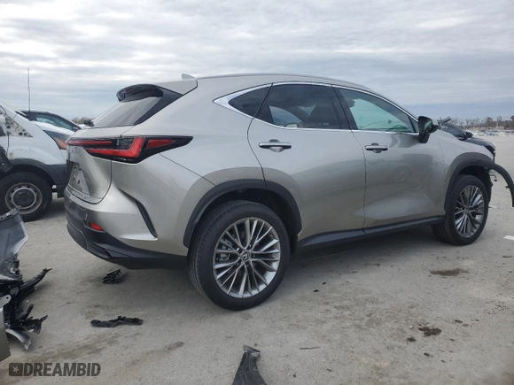 2022 Lexus NX with VIN 2T2GKCEZ1NC007467, listed as a Copart auction lot 82642034 with 4,058 mi miles and Salvage Title. Bid and sale history available at carsss.com. Image 3.