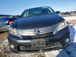 2010 Lexus HS 250h with VIN JTHBB1BA5A2003303, listed as a Copart auction lot 42003095 with Not Provided miles and Salvage Title. Bid and sale history available at DreamBid. Image 5.
