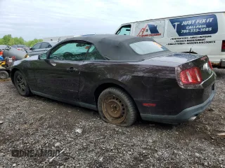 2011 Ford Mustang V6 with VIN 1ZVBP8EM8B5129301, listed as a Copart auction lot 56668885 with Not provided miles and Non repairable. Bid and sale history available at DreamBid. Image 2.