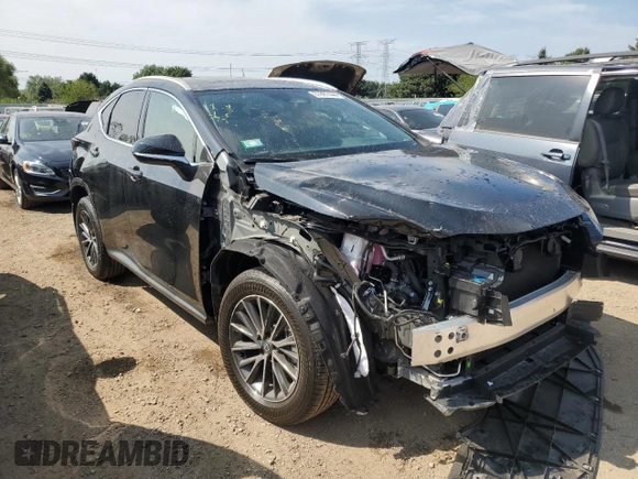 2025 Lexus NX 350 z VIN 2T2AGCEZ5SC065262, wystawiony jako Copart lot #67897444 z przebiegiem 113 mil mil oraz Szkoda całkowita • Salvage title. Historia ofert i sprzedaży dostępna na DreamBid. Obrazek 4.