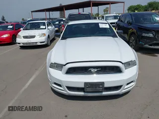 2014 Ford Mustang V6 with VIN 1ZVBP8AMXE5245688, listed as a IAAI auction lot 42074539 with 146,028 mi miles. Bid and sale history available at carsss.com. Image 12.
