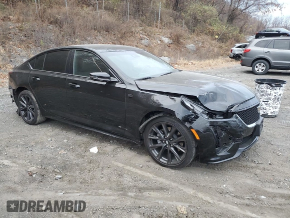 2023 Cadillac CT5 Sport with VIN 1G6DU5RK3P0105278, listed as a Copart auction lot 80003734 with 27,806 mi miles and Salvage Title. Bid and sale history available at DreamBid. Image 4.