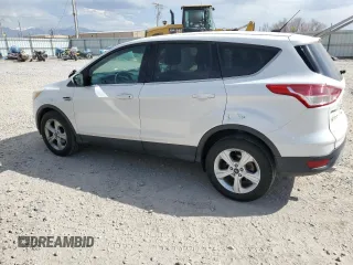 2015 Ford Escape SE with VIN 1FMCU0GX9FUC26779, listed as a Copart auction lot 52772325 with 135,121 mi miles and Salvage Title. Bid and sale history available at DreamBid. Image 2.