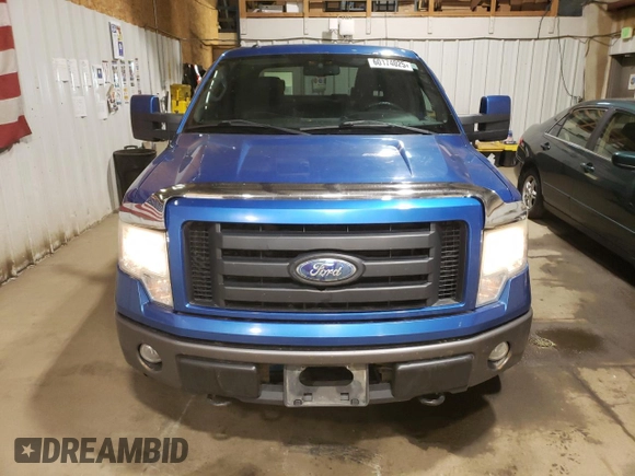 2009 Ford F-150 XL with VIN 1FTPW14V09KB58851, listed as a Copart auction lot 60174025 with 209,055 mi miles and Clean title. Bid and sale history available at DreamBid. Image 5.