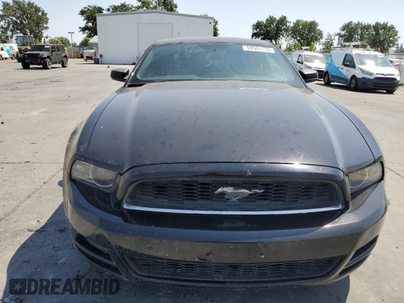 2013 Ford Mustang V6 with VIN 1ZVBP8AM6D5243659, listed as a Copart auction lot 59528155 with 169,494 mi miles and Salvage title. Bid and sale history available at DreamBid. Image 5.