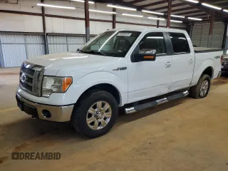 2009 Ford F-150 XL z VIN 1FTPW14V09FA01099, wystawiony jako Copart lot #54593915 z przebiegiem 199 744 mil mil oraz Szkody całkowita. Historia ofert i sprzedaży dostępna na DreamBid. Obrazek 1.