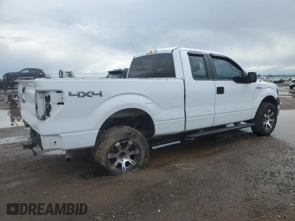 2014 Ford F-150 XL with VIN 1FTEX1EM7EKG10153, listed as a Copart auction lot 55842715 with 175,056 mi miles and Salvage title. Bid and sale history available at DreamBid. Image 3.