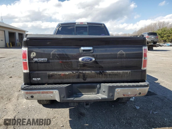 2014 Ford F-150 XL with VIN 1FTFX1ET1EKD01029, listed as a Copart auction lot 50314565 with 161,177 mi miles and Salvage Title. Bid and sale history available at carsss.com. Image 6.