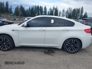 2010 BMW X6 M with VIN 5YMGZ0C52ALK13325, listed as a IAAI auction lot 40819581 with 134,282 mi miles. Bid and sale history available at carsss.com. Image 14.