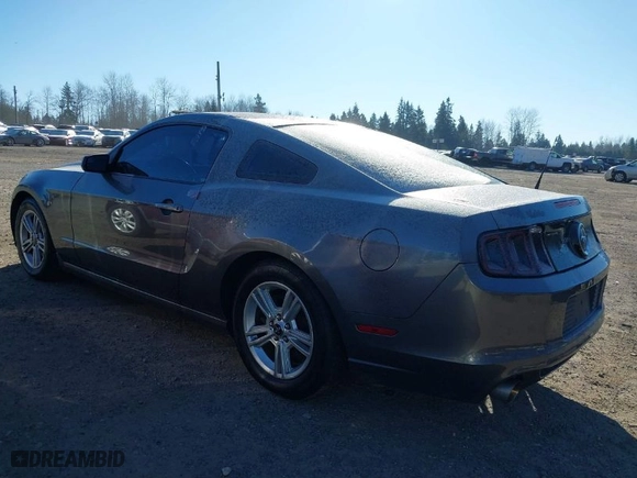 2014 Ford Mustang V6 with VIN 1ZVBP8AM3E5267564, listed as a IAAI auction lot 41559431 with 206,282 mi miles. Bid and sale history available at carsss.com. Image 3.