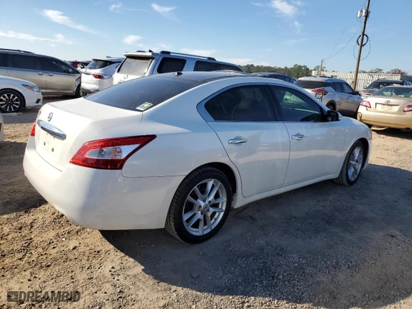 2010 Nissan Maxima 3.5 SV w/Premium Pkg with VIN 1N4AA5AP5AC845541, listed as a Copart auction lot 82057984 with 80,146 mi miles and Salvage Title. Bid and sale history available at carsss.com. Image 3.