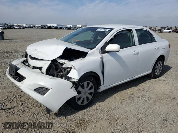 2010 Toyota Corolla with VIN JTDBU4EE7AJ071846, listed as a Copart auction lot 53081425 with Not Provided miles and Salvage Title. Bid and sale history available at DreamBid. Image 1.