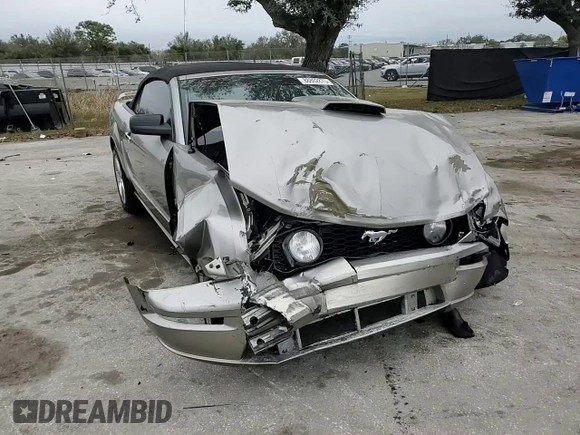 2008 Ford Mustang GT Deluxe with VIN 1ZVHT85H385127604, listed as a Copart auction lot 88802875 with Not Provided miles and Salvage Title. Bid and sale history available at DreamBid. Image 10.