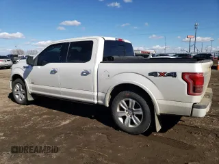 2017 Ford F-150 XL with VIN 1FTEW1EG3HFA74795, listed as a Copart auction lot 46892235 with 118,333 mi miles and Salvage Title. Bid and sale history available at carsss.com. Image 2.