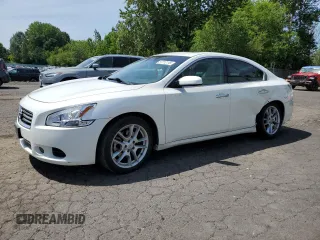 2013 Nissan Maxima S with VIN 1N4AA5AP5DC840795, listed as a Copart auction lot 57712115 with 187,516 mi miles and Salvage title. Bid and sale history available at DreamBid. Image 1.