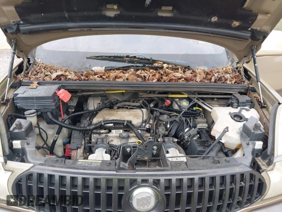 2005 Buick Rendezvous with VIN 3G5DA03E05S553437, listed as a IAAI auction lot 42137234 with 207,090 mi miles and . Bid and sale history available at DreamBid. Image 10.