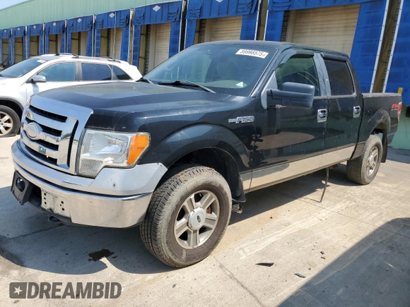 2009 Ford F-150 XL with VIN 1FTRW14809FA31805, listed as a Copart auction lot 59998575 with 199,115 mi miles and Clean title. Bid and sale history available at DreamBid. Image 1.
