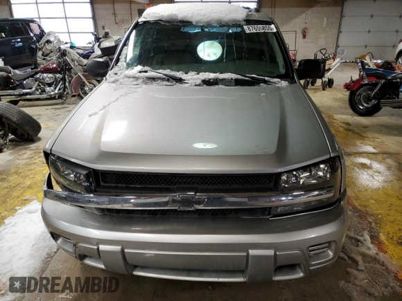 2008 Chevrolet TrailBlazer 1LT with VIN 1GNDT13S882104433, listed as a Copart auction lot 87655855 with Not Provided miles and Salvage Title. Bid and sale history available at DreamBid. Image 5.