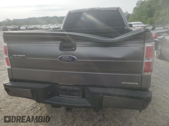 2013 Ford F-150 XL with VIN 1FTEX1CM2DFB20777, listed as a Copart auction lot 59378055 with 163,128 mi miles and Salvage title. Bid and sale history available at DreamBid. Image 6.