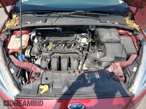 2016 Ford Focus SE with VIN 1FADP3F20GL367406, listed as a Copart auction lot 65266585 with 47,546 mi miles and Salvage title. Bid and sale history available at DreamBid. Image 11.
