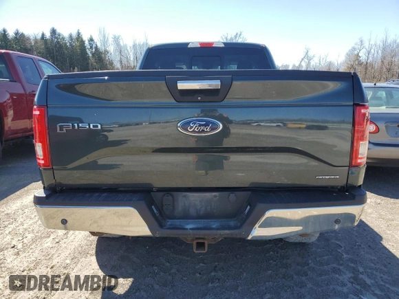 2015 Ford F-150 XLT with VIN 1FTFX1EF7FFC13171, listed as a Copart auction lot 53156575 with 145,292 mi miles and Salvage title. Bid and sale history available at DreamBid. Image 6.