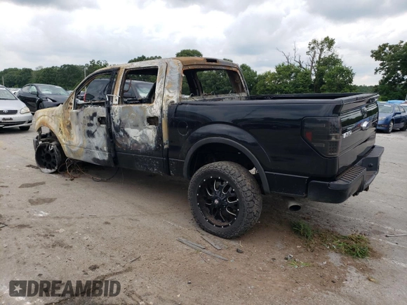 2012 Ford F-150 XL with VIN 1FTFW1EFXCFA29065, listed as a Copart auction lot 62226564 with Not provided miles and Non repairable. Bid and sale history available at DreamBid. Image 2.