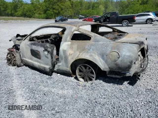 2005 Ford Mustang Deluxe with VIN 1ZVFT80N455159946, listed as a Copart auction lot 54315545 with Not provided miles and Non repairable. Bid and sale history available at DreamBid. Image 2.