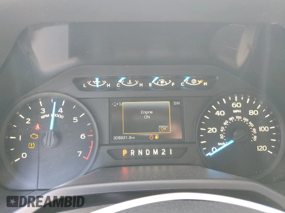2015 Ford F-150 XL with VIN 1FTEX1CP7FKE77571, listed as a Copart auction lot 58248885 with 308,931 mi miles and Clean title. Bid and sale history available at DreamBid. Image 9.