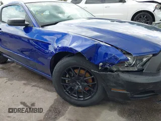 2013 Ford Mustang V6 with VIN 1ZVBP8AM7D5228491, listed as a IAAI auction lot 42209129 with 146,461 mi miles and . Bid and sale history available at DreamBid. Image 17.