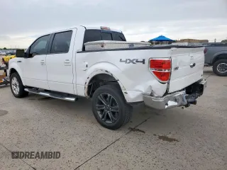 2010 Ford F-150 XL with VIN 1FTFW1EV9AFB45006, listed as a Copart auction lot 59585915 with 219,756 mi miles and Salvage title. Bid and sale history available at DreamBid. Image 2.